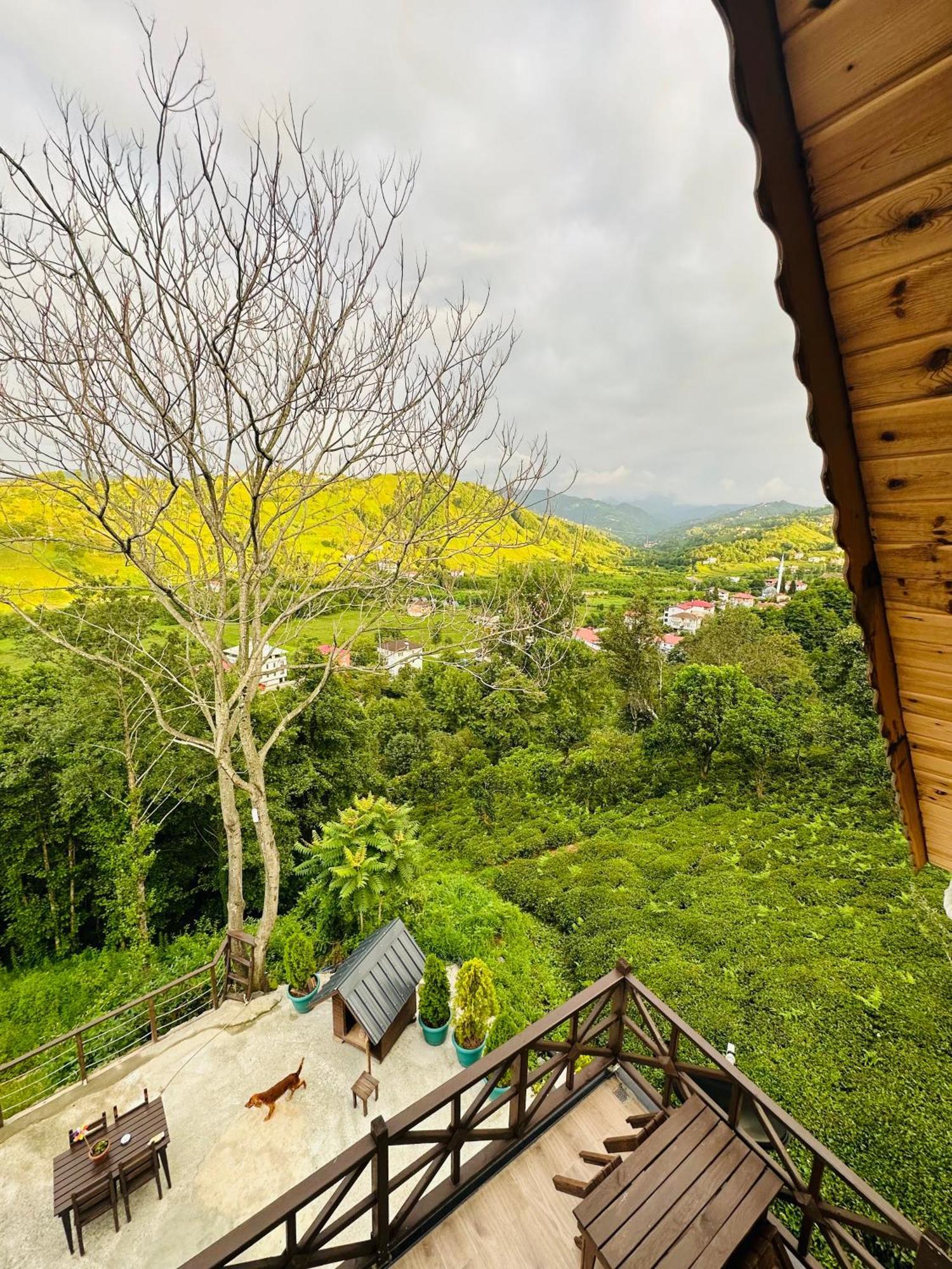 Greenlife Dagevleri Rize Exterior photo